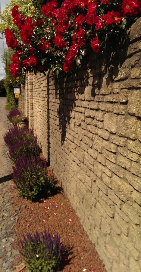 Abingdon-on-Thames B&B Rafters מראה חיצוני תמונה